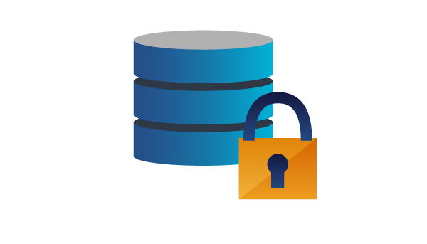 Ein Schloss und eine große Datenbank auf weißem Hintergrund.